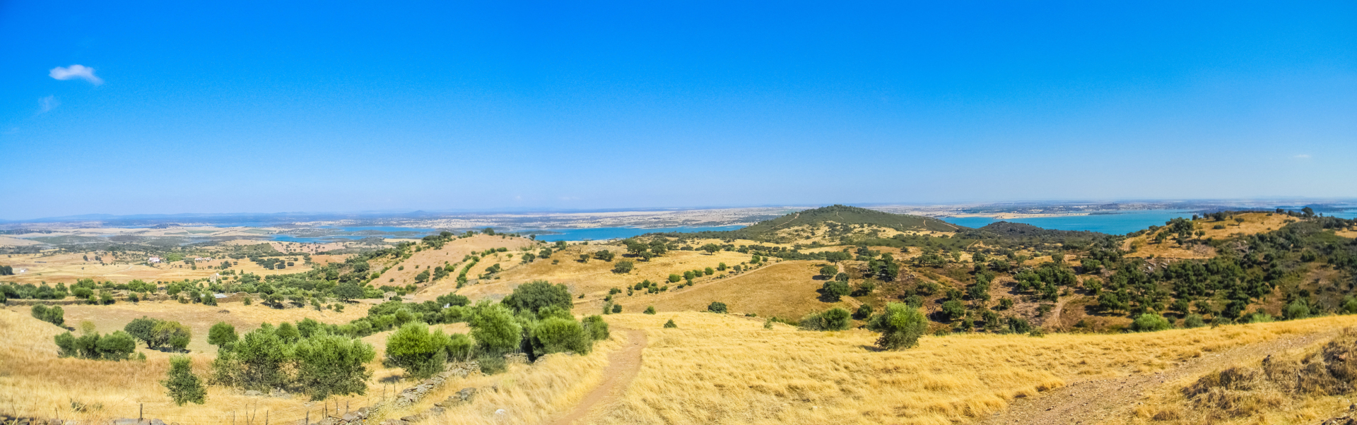 Paysage doré des plaines de l'Alentejo