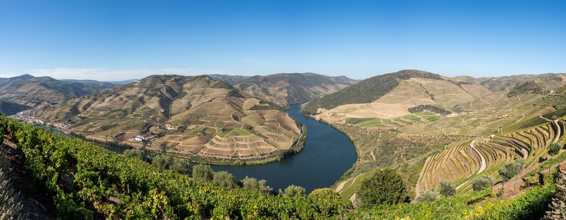 Paysage de la vallée du Douro au Portugal