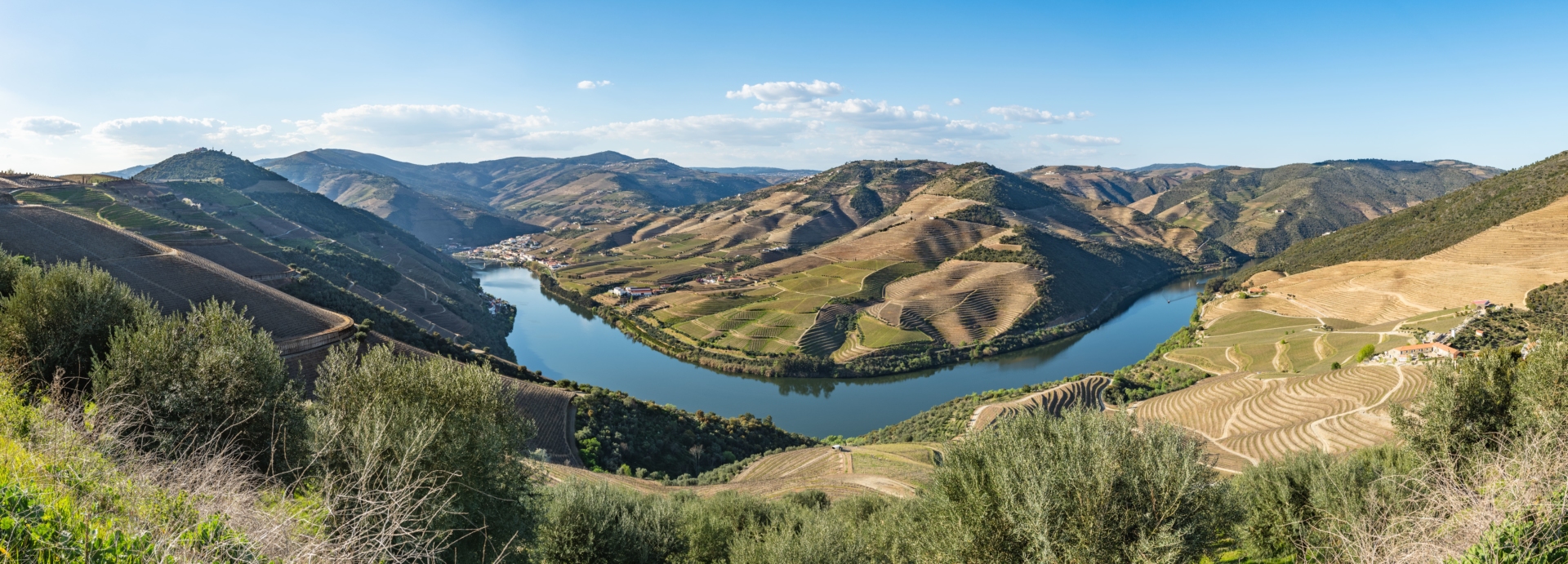 Panorama verdoyant de la vallée du Douro