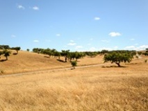 Alentejo