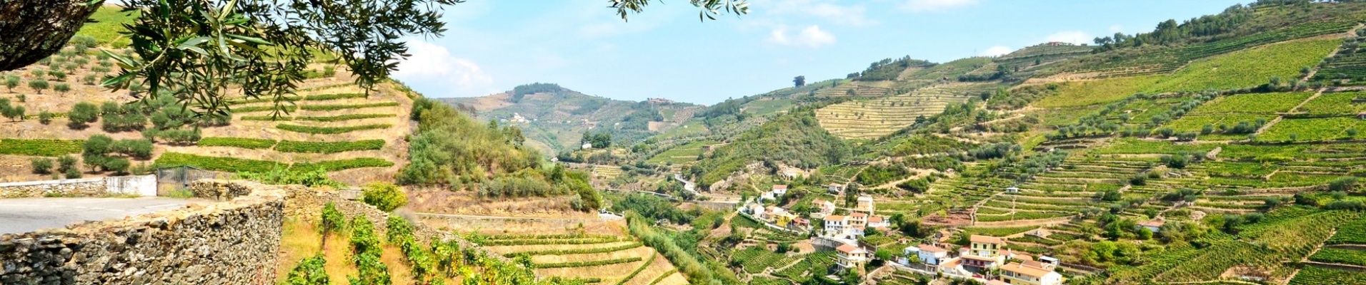 Vallée du Douro