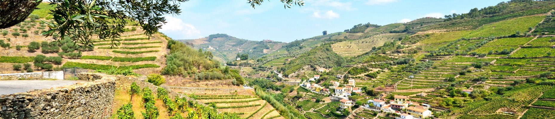 Vallée du Douro