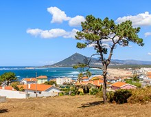 Caminha