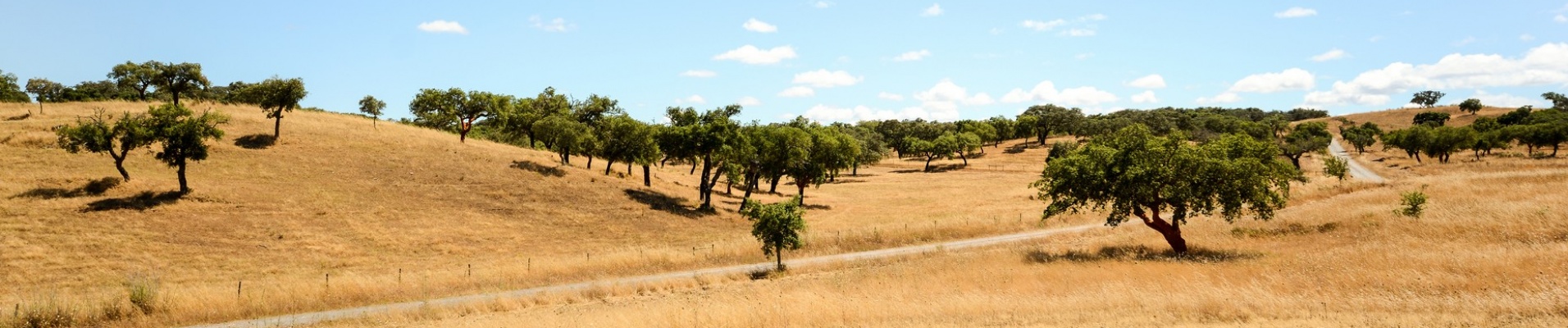 voyage alentejo