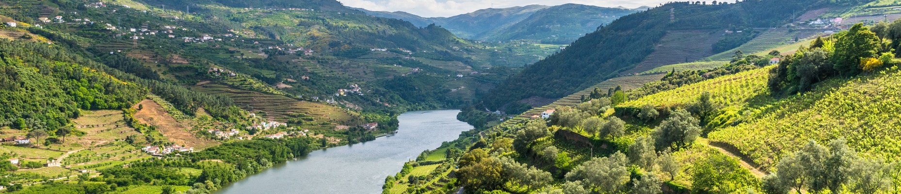 régions du portugal
