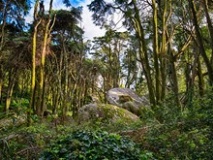 Serra de Sintra