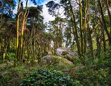 Serra de Sintra