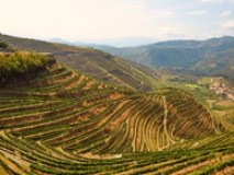 Vallée du Douro