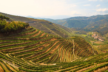 Vallée du Douro