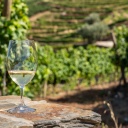 Un verre de vin blanc du Douro sur fond de vignobles