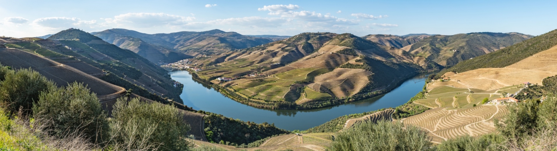 Panorama verdoyant de la vallée du Douro