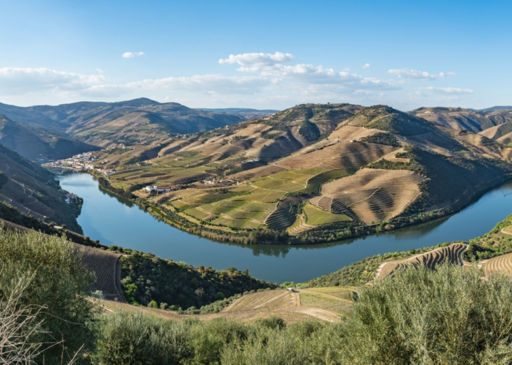 Panorama verdoyant de la vallée du Douro