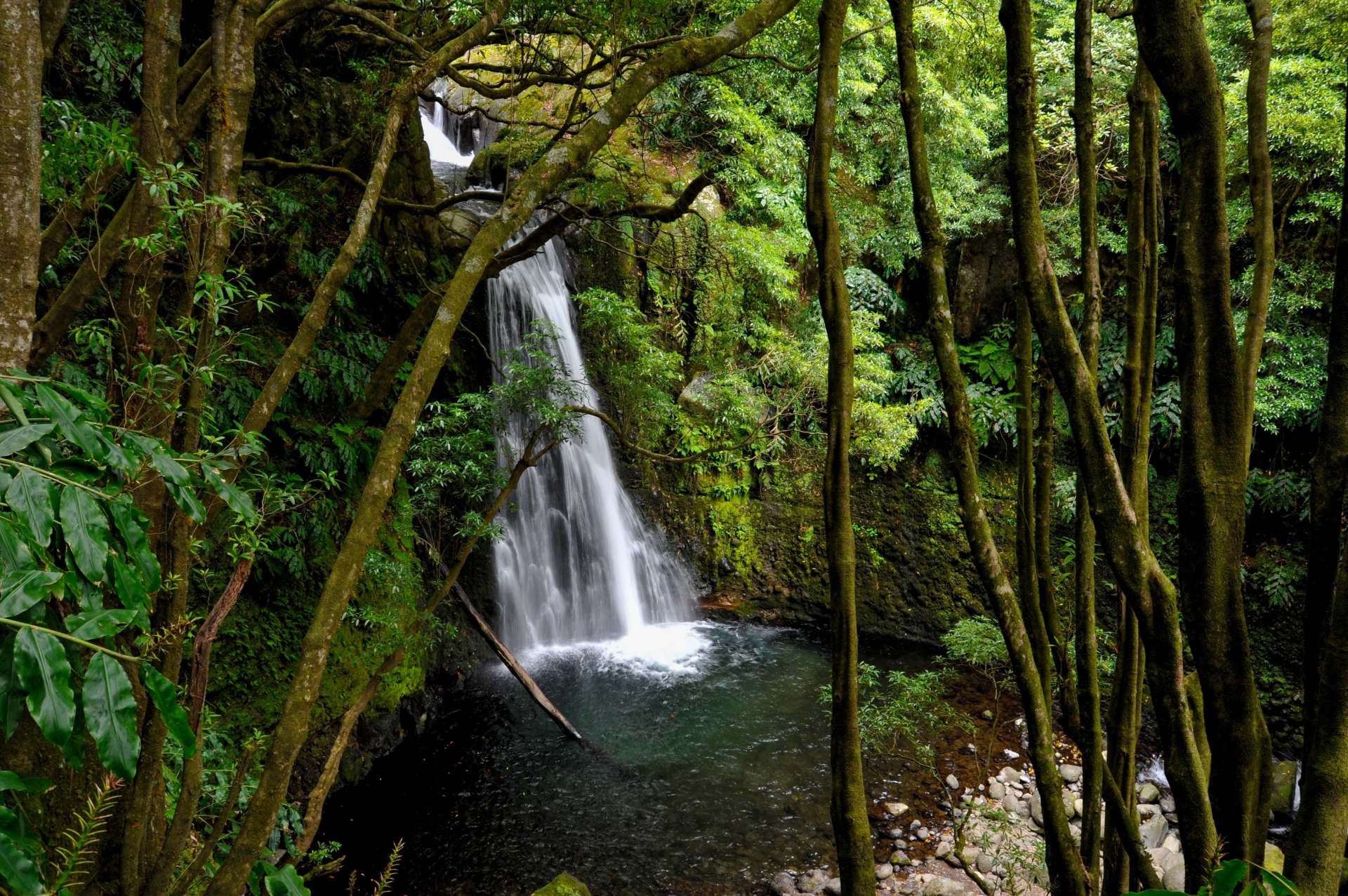 Cascade de Faial da Terra