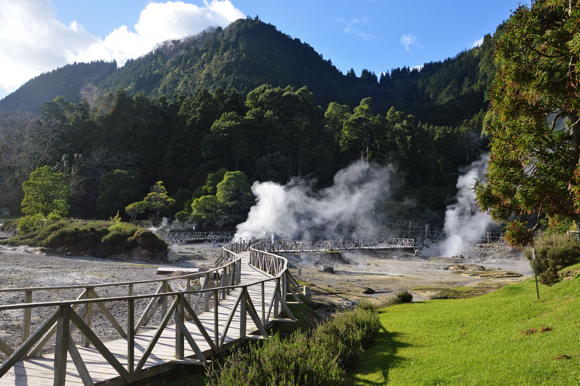 Fumerolles de la lagoa das furnas