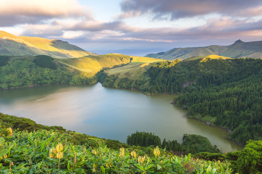 flores-acores-portugal