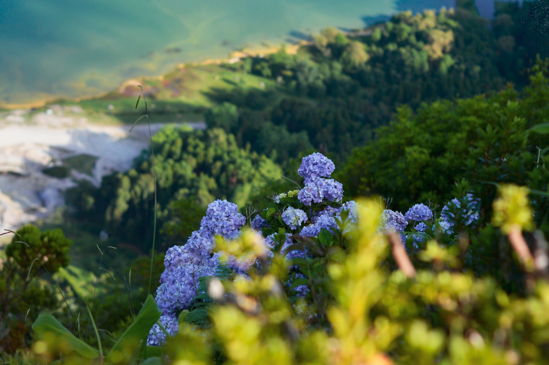 São Miguel, Açores